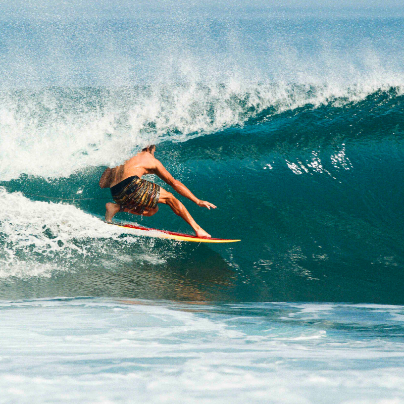 Sea Gypsy Mid-Length Single Fin Speed